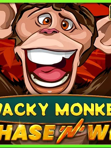 Wacky Monkey - Chase'N'Win